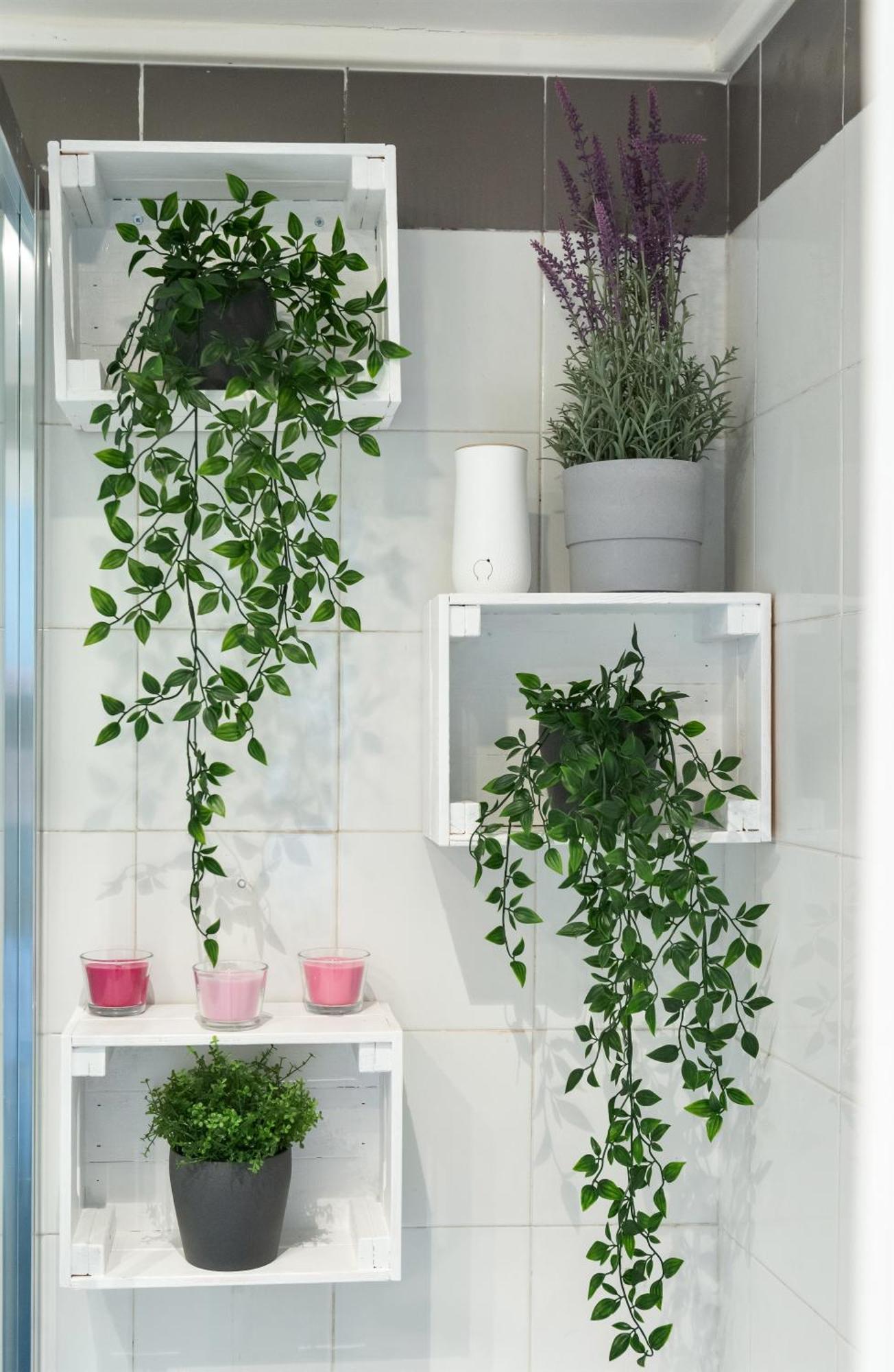 Cozy Studio Campo De Fiori Ρώμη Εξωτερικό φωτογραφία